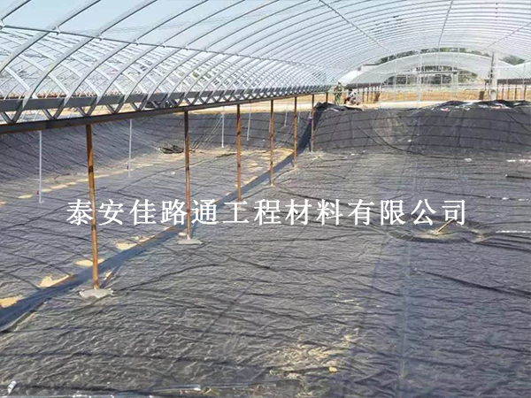 养殖防渗膜施工成本大揭秘：哪些因素在决定你的工程预算？
